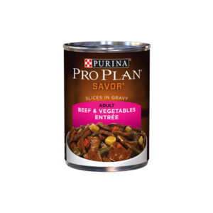 BEEF & VEGETABLES ENTRÉE SLICES IN GRAVY