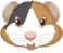 hampster